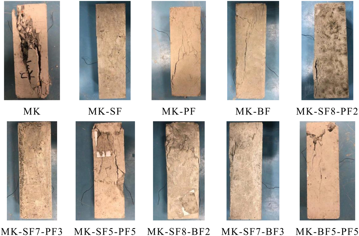 Fig. 11 Refer to the following caption and surrounding text.