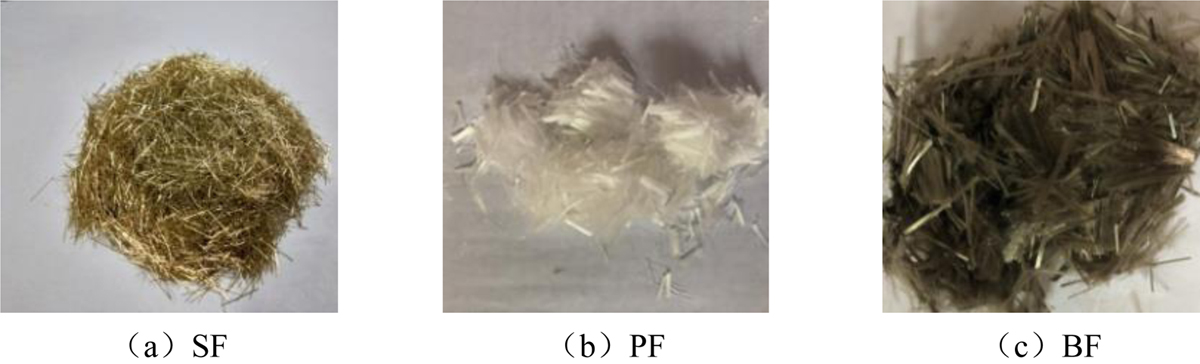 Fig. 2 Refer to the following caption and surrounding text.